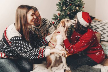 şık hipster arkadaşlar oynarken ve sevimli köpek Noel ağacı ışıkları ile gülümseyen şenlikli kazak