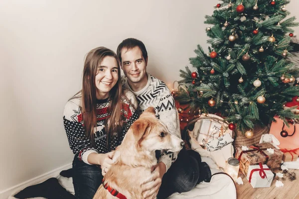 mutlu iki şık kazak eğleniyor sonra Noel ağacı ile festival odasında şirin köpek ile oynarken