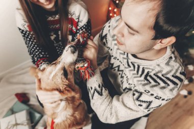 şık hipster kaç sarılma ve köpekle oynamayı kazak içinde