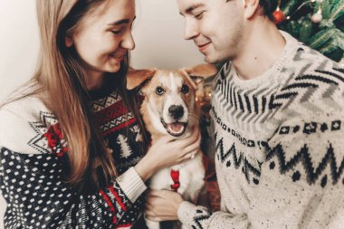 şık hipster kaç köpek sarılma ve posig Noel ağacı, gülümseyen kazak içinde