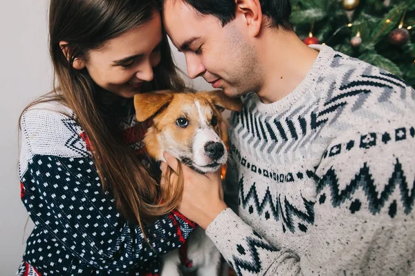 犬を抱いて 笑顔のクリスマス ツリーで Posig のセーターでスタイリッシュな流行に敏感なカップル — ストック写真