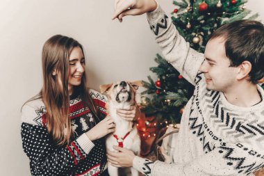 mutlu iki şık kazak eğleniyor sonra Noel ağacı ile festival odasında şirin köpek ile oynarken