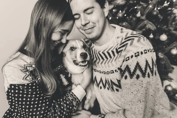 Joven Feliz Pareja Suéteres Jugando Con Perro Sonriendo — Foto de Stock