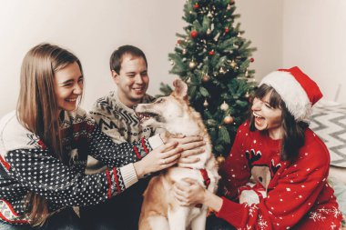 Eğleniyor ve Noel ağacı oturan köpekle oynayan arkadaşlar 