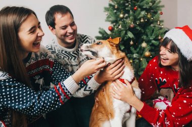 Eğleniyor ve Noel ağacı oturan köpekle oynayan arkadaşlar 