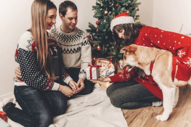 mutlu arkadaş şık kazak ve hediyeler Noel ağacı ışıkları ile oturan alışverişi şirin komik köpek