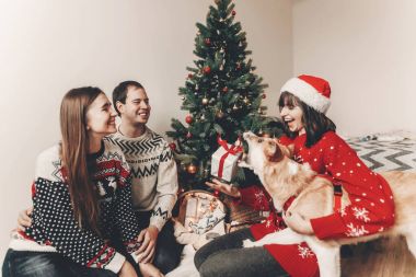 mutlu arkadaş şık kazak ve sevimli köpek hediyeler, Noel ağacı ışıkları ile eğleniyor. Atmosferik duygusal anlar