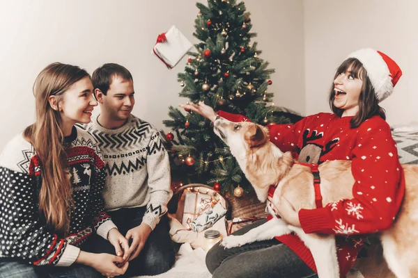 Amigos Felices Lindo Perro Jugando Sentado Suelo Cerca Del Árbol — Foto de Stock