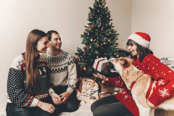 Szczęśliwy Przyjaciół Stylowych Swetrów Ładny Zabawny Pies Wymiany Darów Siedzi — Zdjęcie stockowe