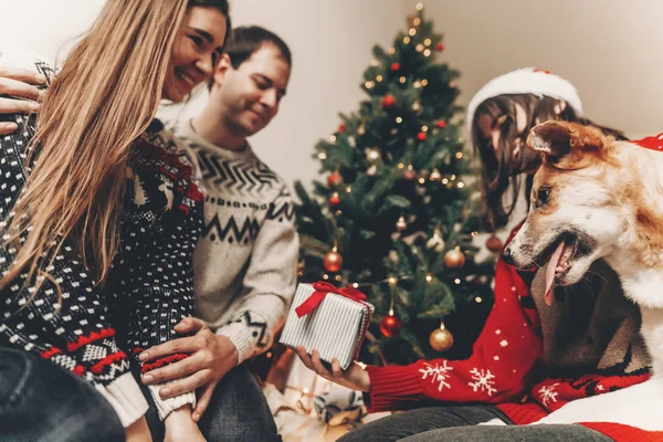 Boldog Meg Aranyos Kutya Ülő Földre Közelében Díszített Karácsonyfa Játék — Stock Fotó