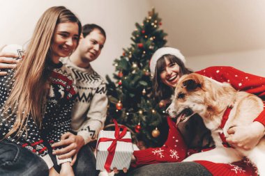 mutlu arkadaş şık kazak ve sevimli köpek hediyeler, Noel ağacı ışıkları ile eğleniyor. Atmosferik duygusal anlar