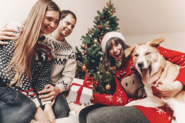 mutlu arkadaş şık kazak ve sevimli köpek hediyeler, Noel ağacı ışıkları ile eğleniyor. Atmosferik duygusal anlar