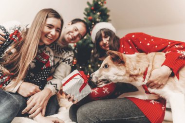 mutlu arkadaş şık kazak ve sevimli köpek hediyeler, Noel ağacı ışıkları ile eğleniyor. Atmosferik duygusal anlar