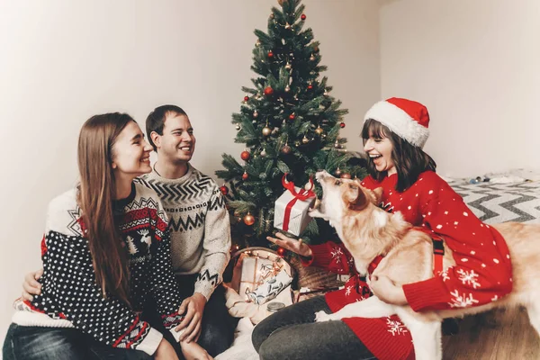 mutlu arkadaş şık kazak ve sevimli köpek hediyeler, Noel ağacı ışıkları ile eğleniyor. Atmosferik duygusal anlar