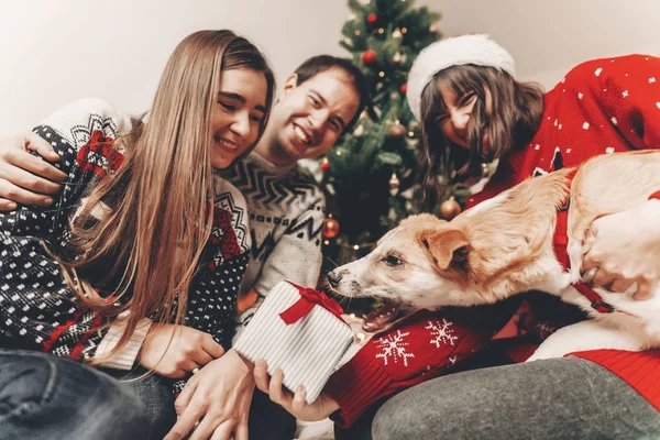 Glückliche Freunde Stylischen Pullovern Und Süße Hunde Die Sich Mit — Stockfoto