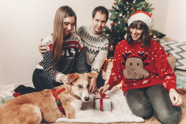 Счастливые Друзья Стильных Свитерах Милые Смешные Собаки Обмениваются Подарками Сидя — стоковое фото