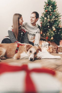 mutlu çift şık kazak ve sevimli köpek Noel ağacı ışıkları ve hediyeler ile dinlenme. 