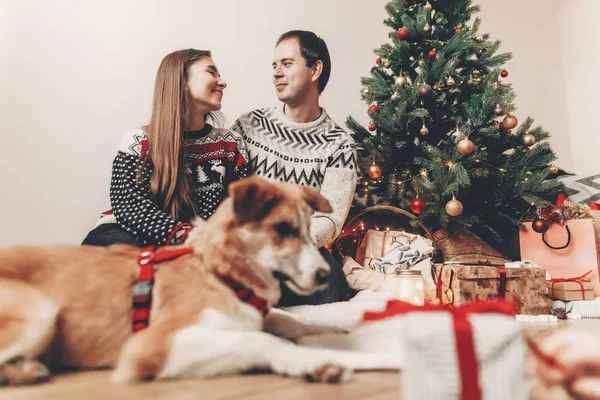Feliz Pareja Suéteres Elegantes Lindo Perro Descansando Árbol Navidad Con — Foto de Stock