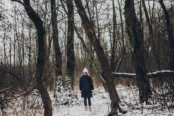 Élégant Voyageur Fille Dans Les Bois Enneigés Vue Arrière — Photo