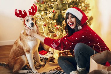  Noel Baba şapkası ve Ren geyiği şapkalı güzel Noel ağacı oynayan sevimli köpek mutlu şık kadın