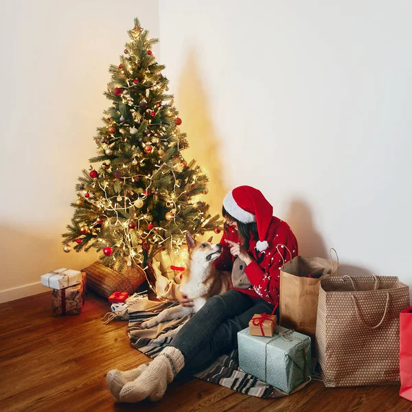 Милый Щенок Стильная Женщина Играет Обнимает Сидя Красивом Дереве Рождества — стоковое фото