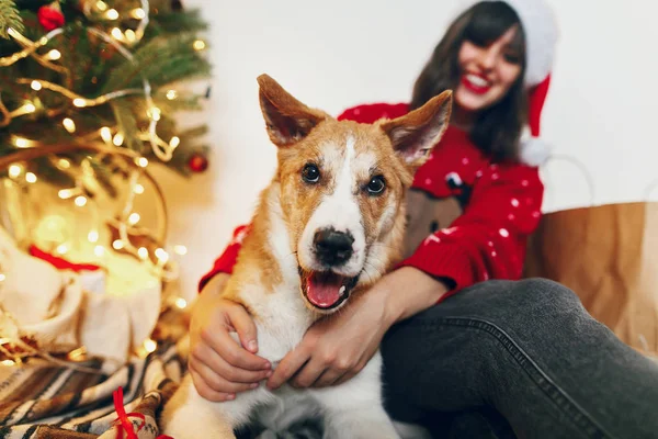 Schattige Puppy Stijlvolle Vrouw Spelen Knuffelen Vergadering Mooie Chrisma Boom — Stockfoto