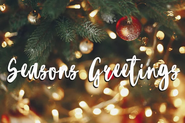 Seasons greetings text, vacker snygg julgran — Stockfoto