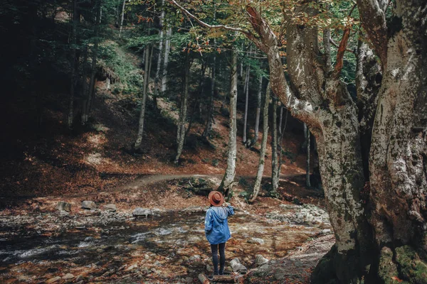 Fernweh Und Reisekonzept Stilvolles Mädchen Mit Hut Das Den Wald — Stockfoto