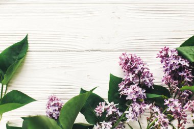 güzel leylak çiçeklerle bahar düz yatıyordu ve rustik Beyaz ahşap arka plan üzerinde üstten görünüm yeşil yaprakları. 