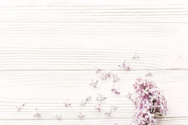 Bahar düz ihale Lila çiçek ve yaprakları ışık Beyaz ahşap zemin üzerinde yatıyordu 