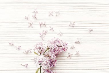 mutlu anneler günü kartı. rustik ahşap arka plan, üstten görünüm üzerinde yumuşak ışık ihale Eflatun çiçekli bahar düz yatıyordu.