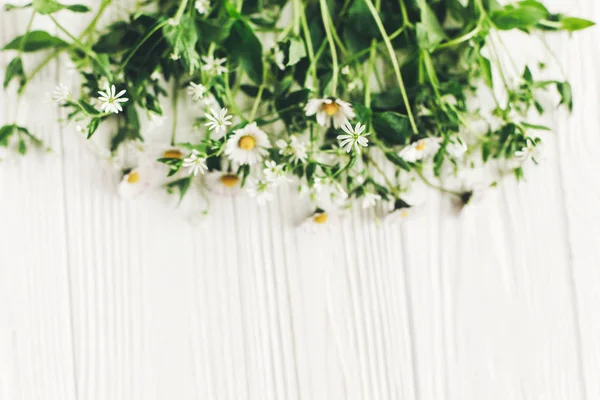 Kwiaty Piękne Daisy Zielenią Białym Tle Drewnianych Widok Góry Miejsca — Zdjęcie stockowe