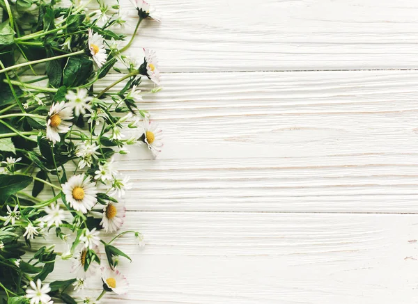 Schöne Gänseblümchen Blumen Mit Viel Grün Auf Weißem Holzhintergrund Mit — Stockfoto