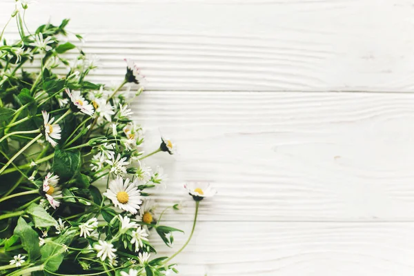 Красиві Ромашкові Квіти Зеленню Білому Дерев Яному Фоні Копією Простору — стокове фото