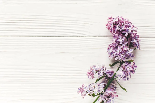 Hallo Frühling Flache Lage Bild Schöne Fliederfarbene Blüten Auf Rustikalem — Stockfoto