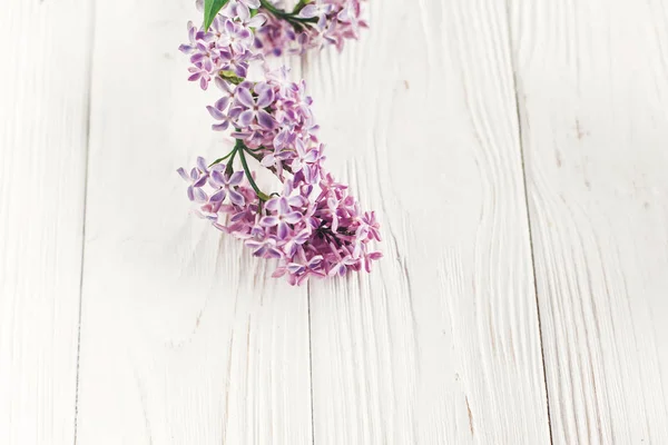 Hallo Frühling Flache Lage Bild Schöne Fliederfarbene Blüten Auf Rustikalem — Stockfoto