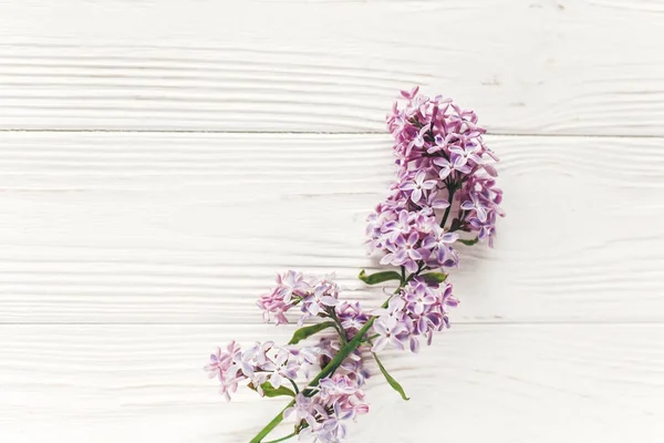 Mooie Lila Bloemen Een Rustiek Witte Houten Achtergrond Top Uitzicht — Stockfoto