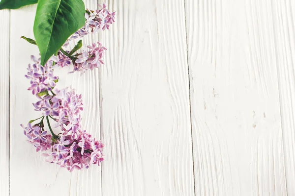 Glücklicher Muttertag Schöne Fliederfarbene Blüten Auf Rustikalem Weißen Holzhintergrund Draufsicht — Stockfoto