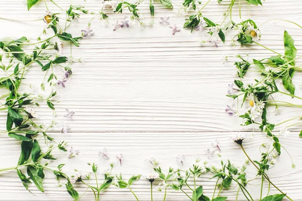 Свіжі Ромашки Бузкові Квіти Зелені Трави Рамка Білому Дерев Яному — стокове фото