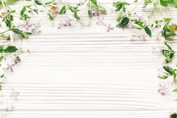 Свіжі Ромашки Бузкові Квіти Зелені Трави Рамка Білому Дерев Яному — стокове фото