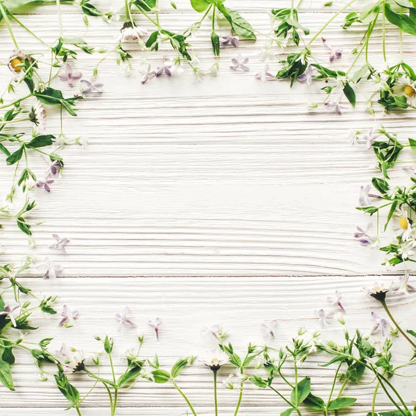 Красива Рамка Ромашок Бузкових Квітів Сільському Білому Дерев Яному Фоні — стокове фото