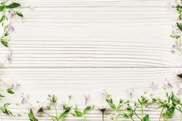 Свіжі Ромашкові Бузкові Квіти Зелені Трави Рамка Білому Дерев Яному — стокове фото