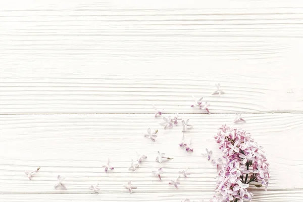 Frühling Flach Lag Mit Zarten Lila Blüten Und Blütenblättern Licht — Stockfoto