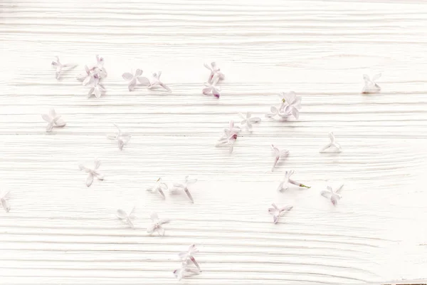 Красивые Нежные Цветы Лилака Белом Деревянном Ржавом Фоне Сверху Поздравительная — стоковое фото