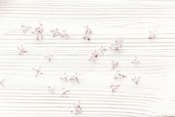 beautiful tender lilac flowers on white wooden rustic background top view. happy earth day greeting card.