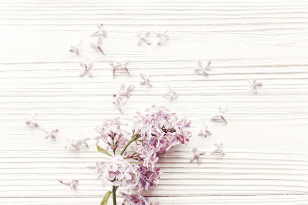 Glückliche Muttertagskarte Frühling Flach Liegend Mit Zarten Lila Blüten Sanftem — Stockfoto