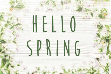 Merhaba bahar metin ihale papatyalar ve Beyaz ahşap zemin üzerine Eflatun çiçekler