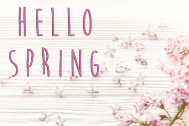 Merhaba güzel ihale leylak kartında bahar çiçek yaprakları ışık Beyaz ahşap arka planda, üstten görünüm.