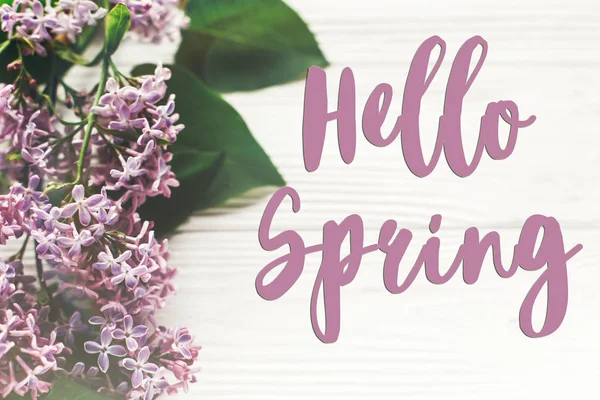 Hello Spring Text Beautiful Lilac Flowers Branch White Wooden Background — Stock Photo, Image