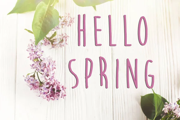 Hello Spring Text Beautiful Lilac Flowers Branch White Wooden Background — Stock Photo, Image